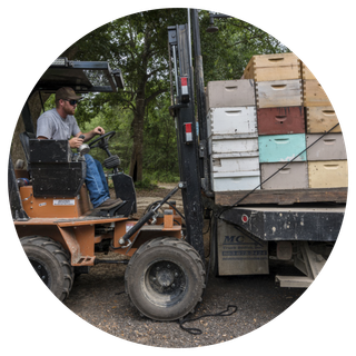 A man operating a forklift to load or unload stacks of beehive boxes onto a flatbed truck in an outdoor setting.