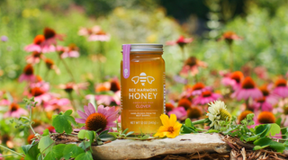 jar of bee harmony honey on rock against wild flowers background
