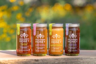 Bee Harmony Honey jars over wood table against wild flowers background