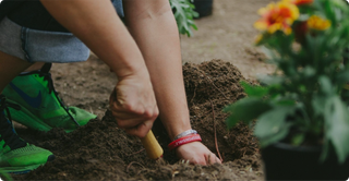 a person digging to plant a flower