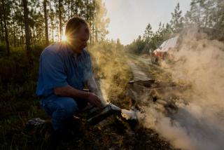 A man kneels, using a smoking beekeeping smoker in a forest.