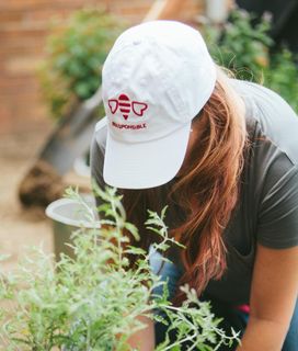 Beesponsible activist working on the field leaning towards plant