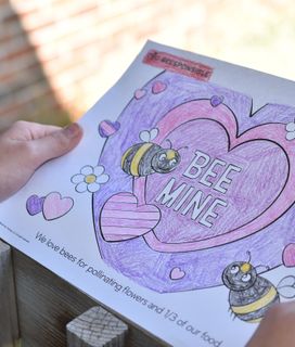 A child holds a "BEE MINE" coloring page with bees, hearts, and text about pollination.