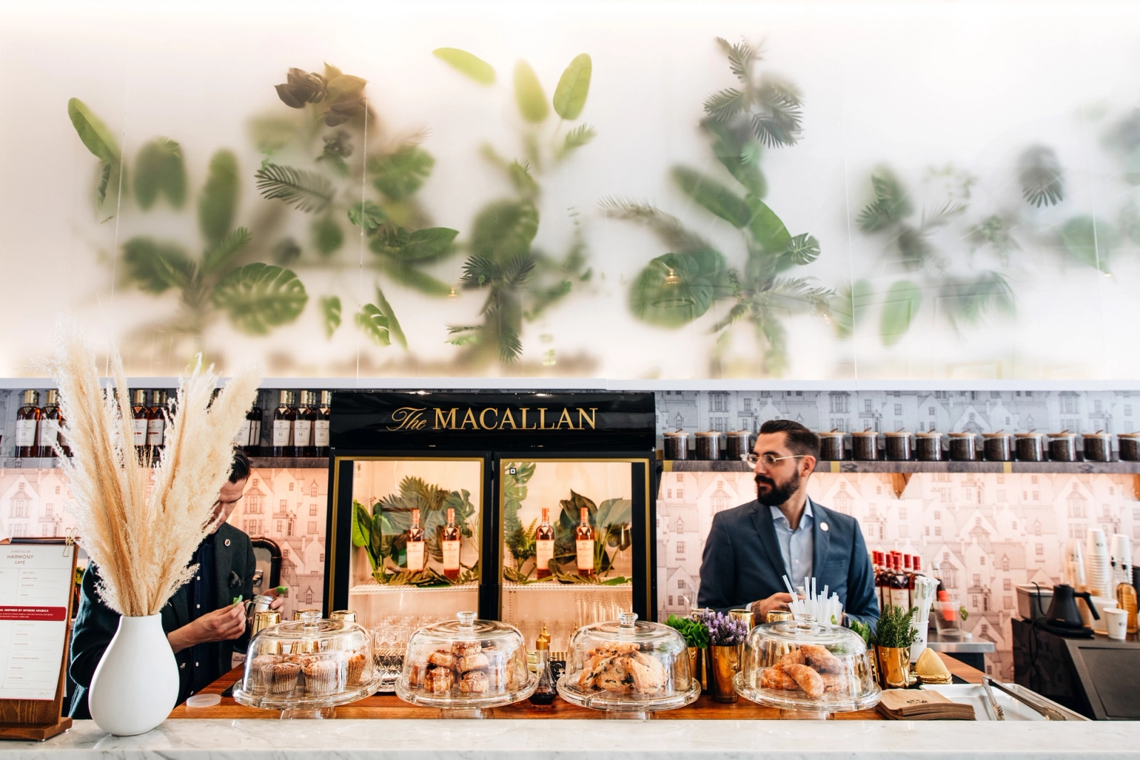 Macallan Harmony Popup