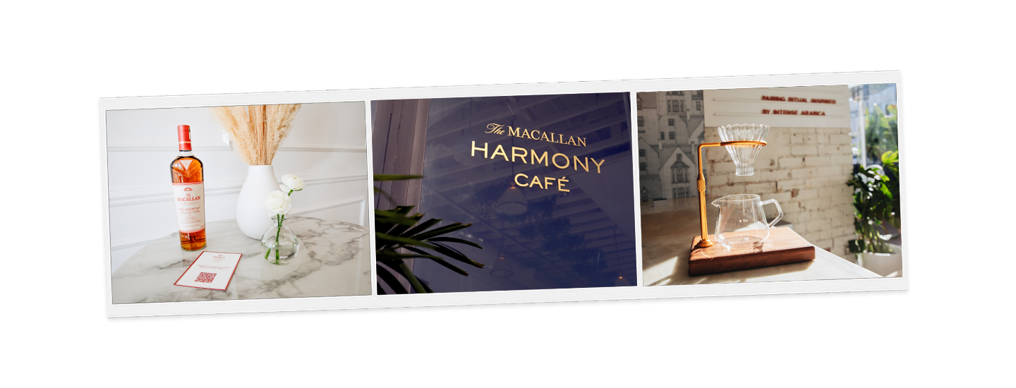 harmony cafe accents by macallan whiskey