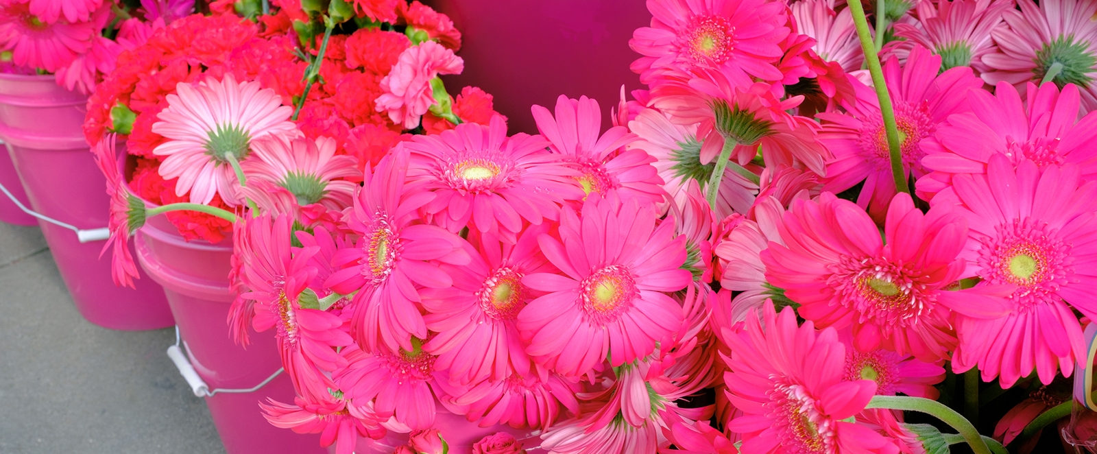 valentino-pp-pink-soho-flowers