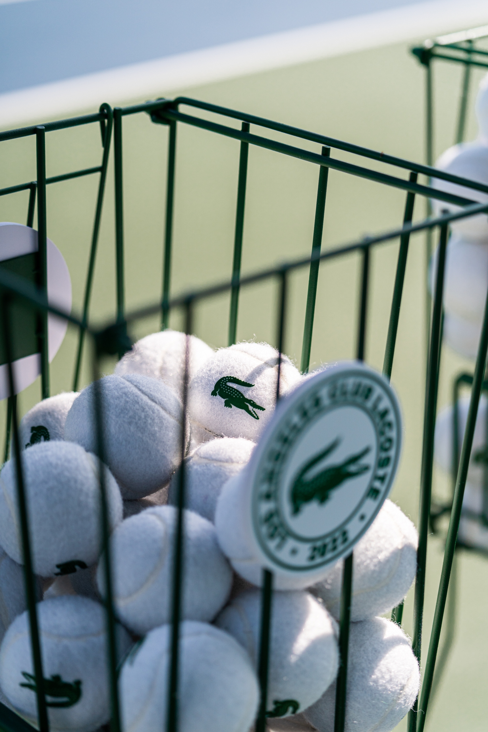 Los Angeles Club Lacoste, Logo Tennis Ball Basket, 2022