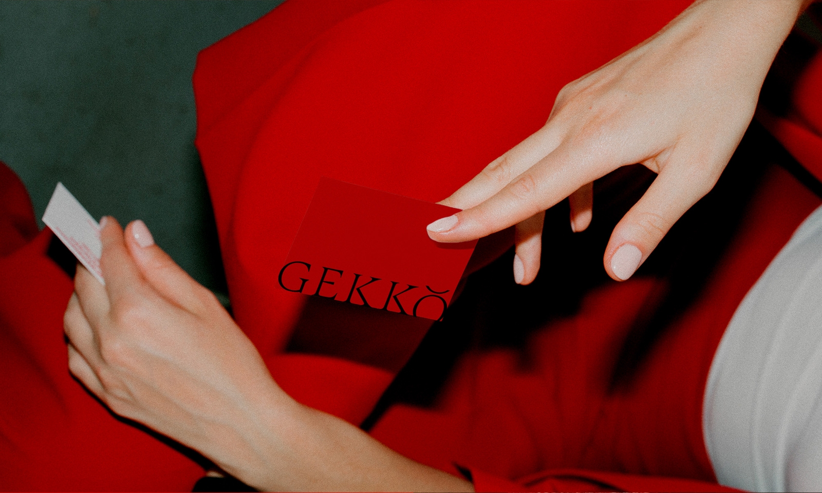 GROOT HOSPITALITY: GEKKO