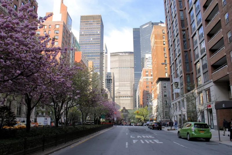 Park Avenue in spring bloom, Midtown East, Manhattan