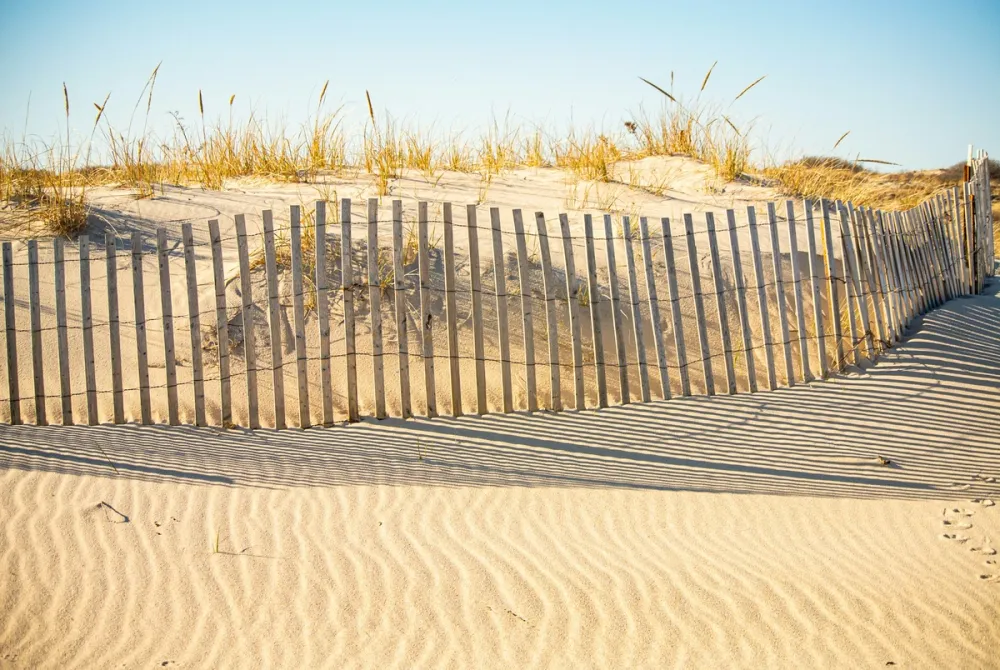 Dune fence and rippled sand at golden hour, The Hamptons