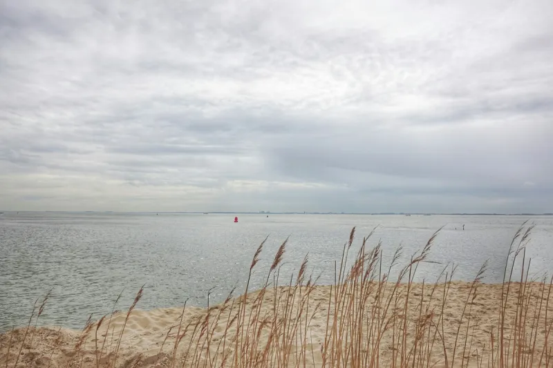 Pond-edge grasses overlooking calm water in Wainscott