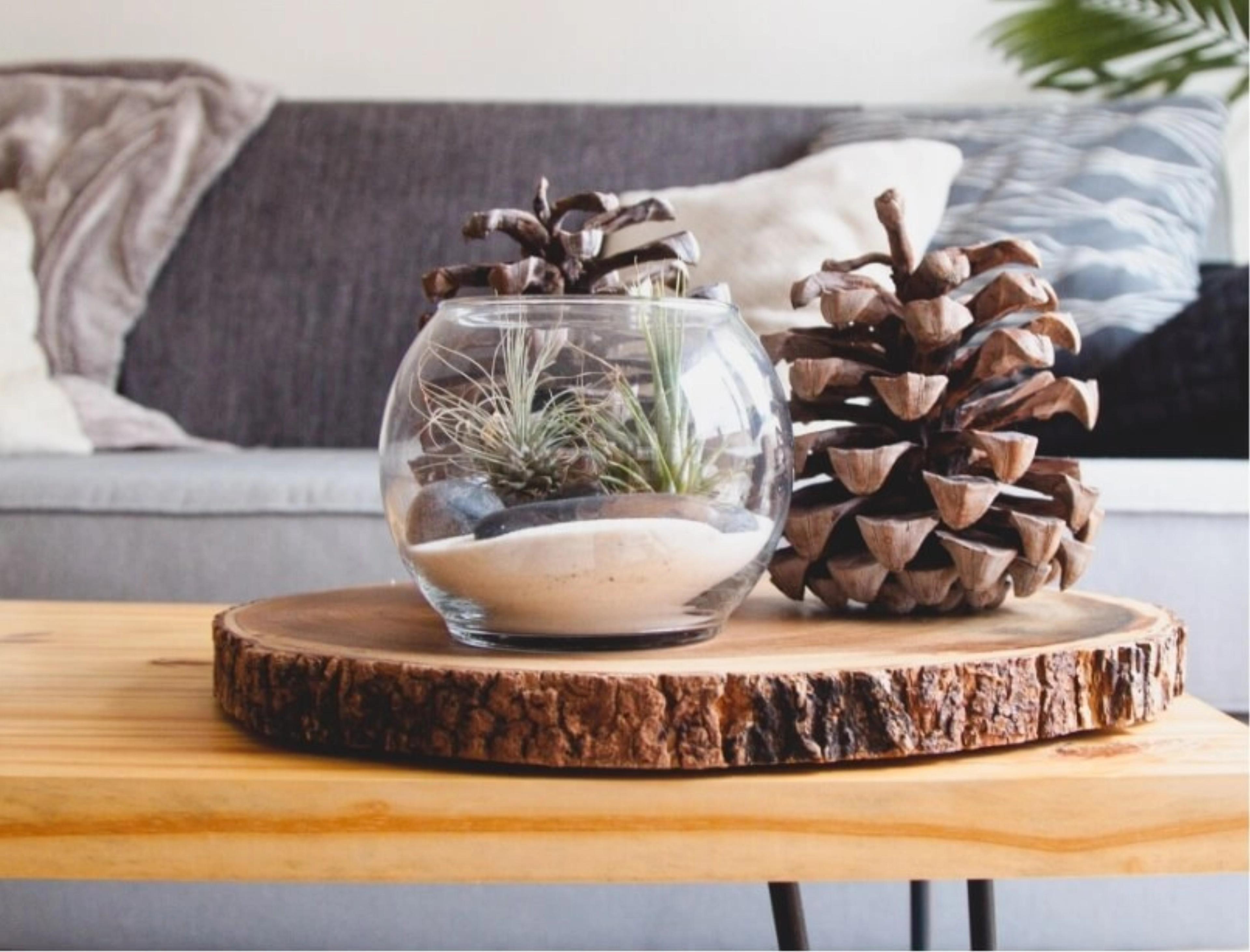 Coffee Table decor