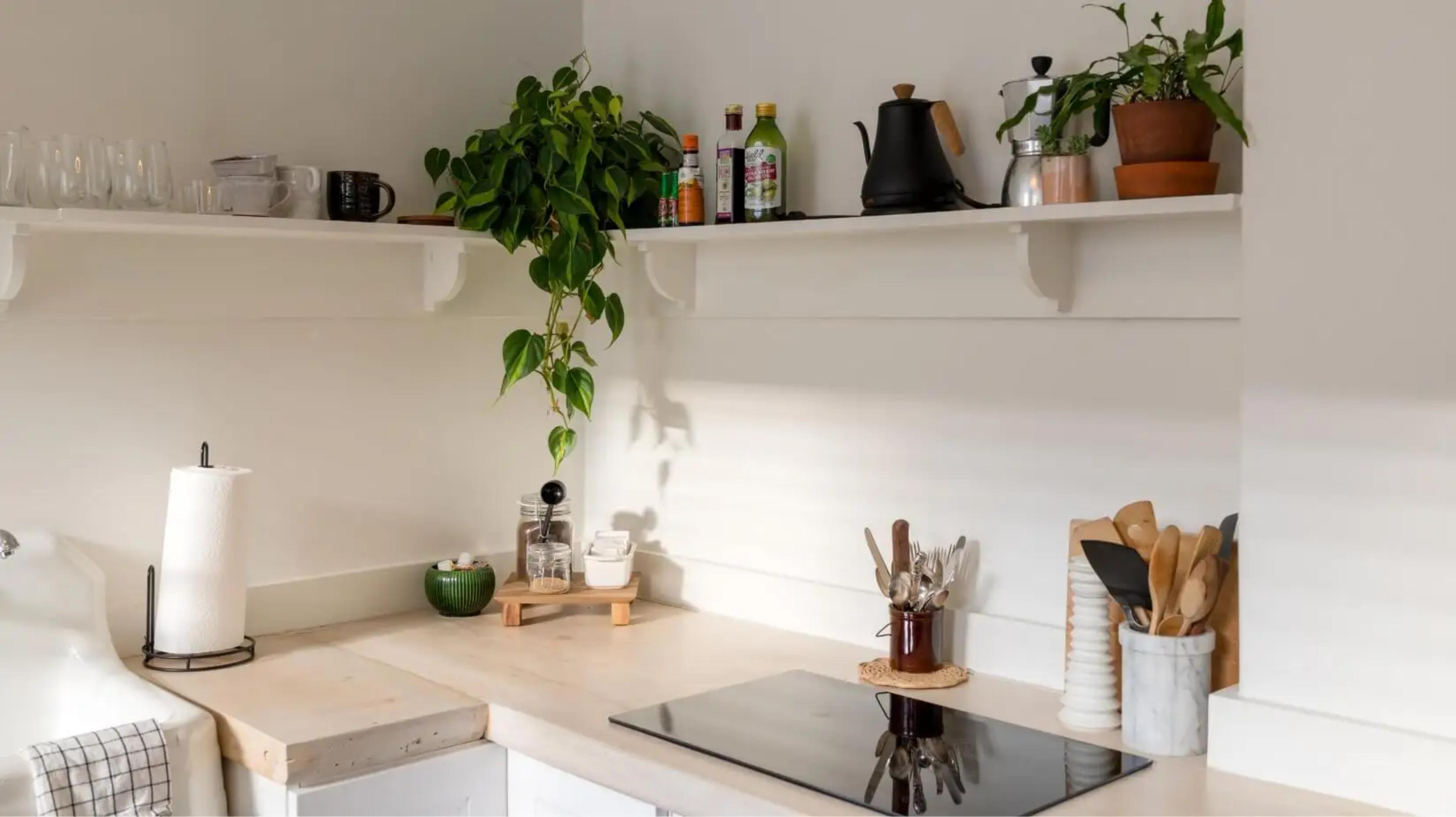 Kitchen with house plants