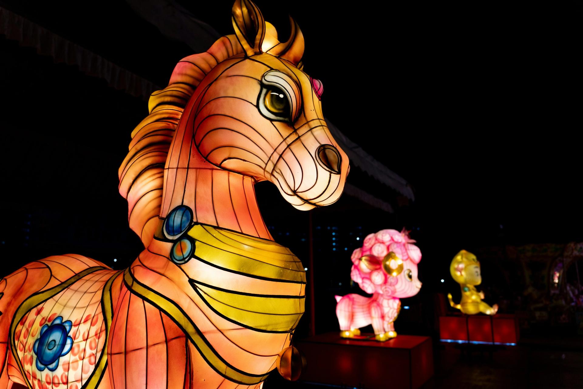 Year of the Horse