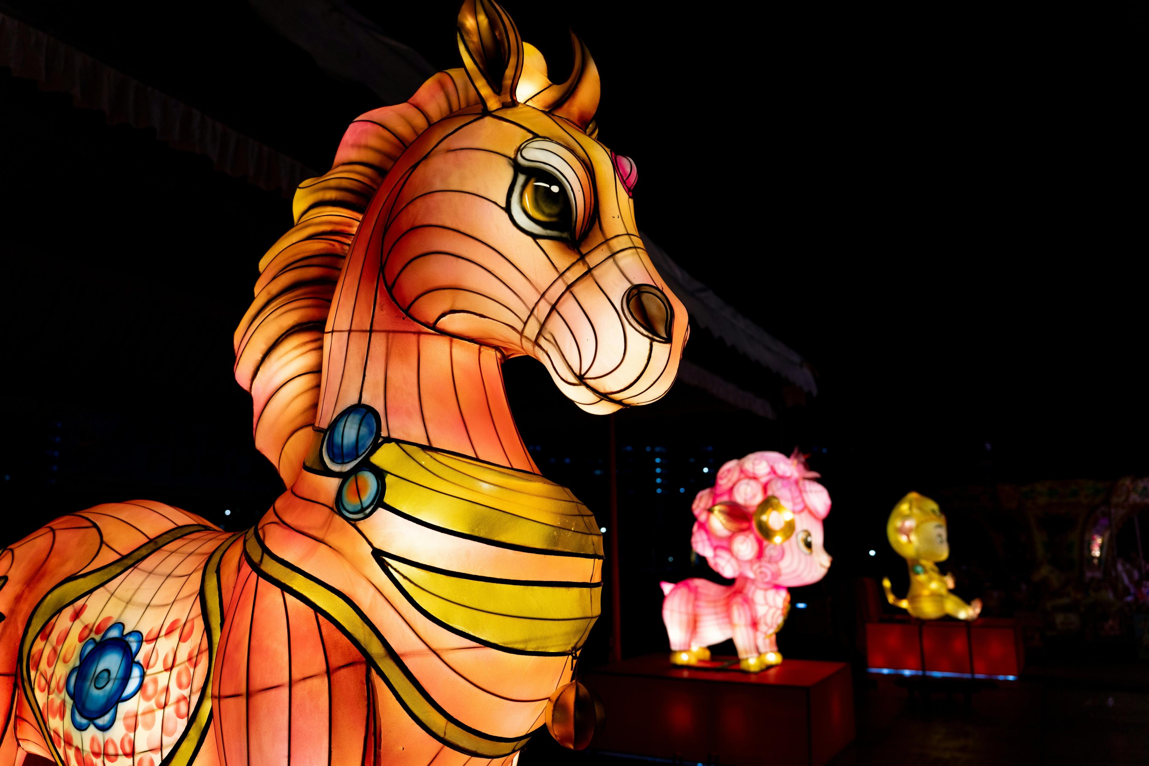 Year of the Horse