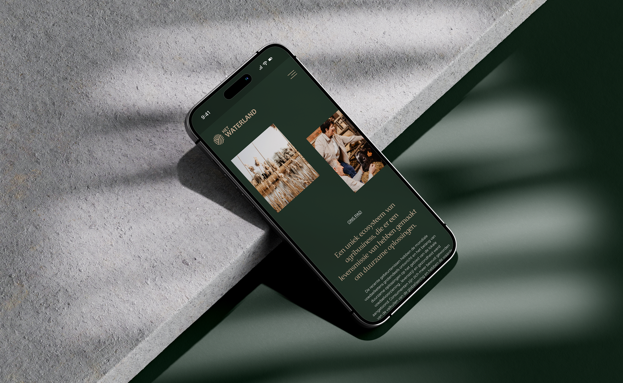 A Unique Ecosystem of Agrobusiness