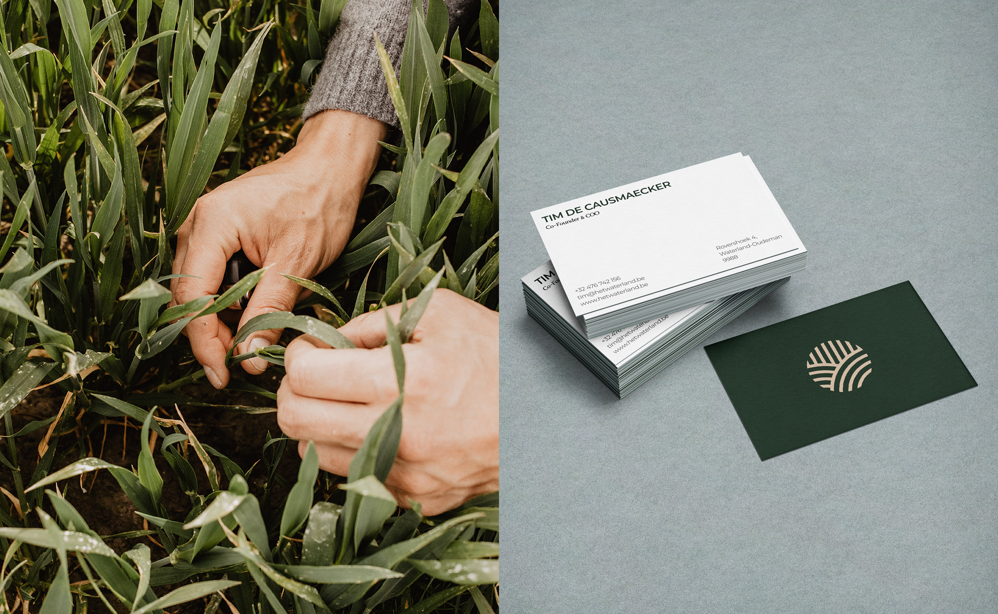 A Unique Ecosystem of Agrobusiness