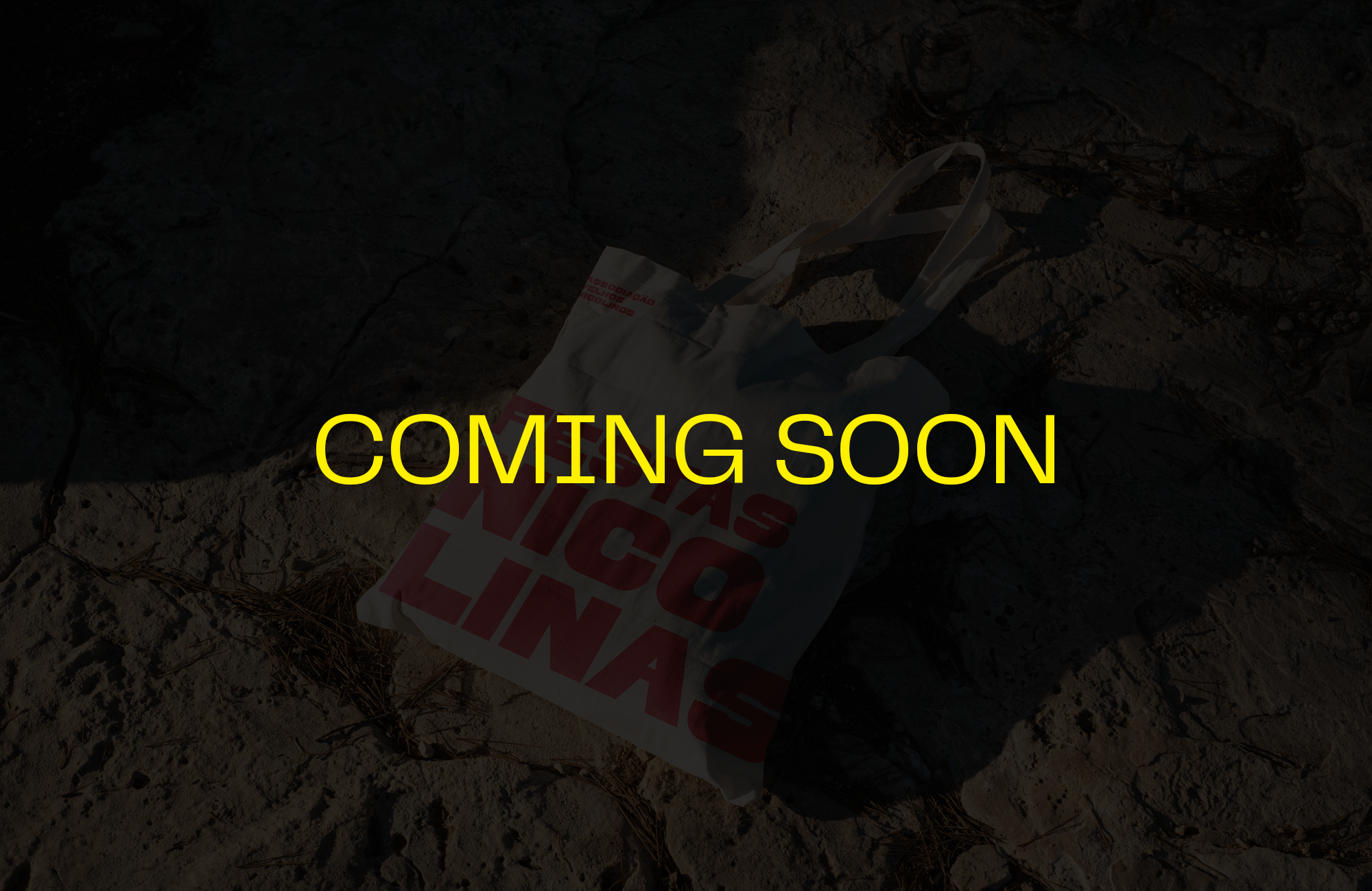 The Great Student Celebration