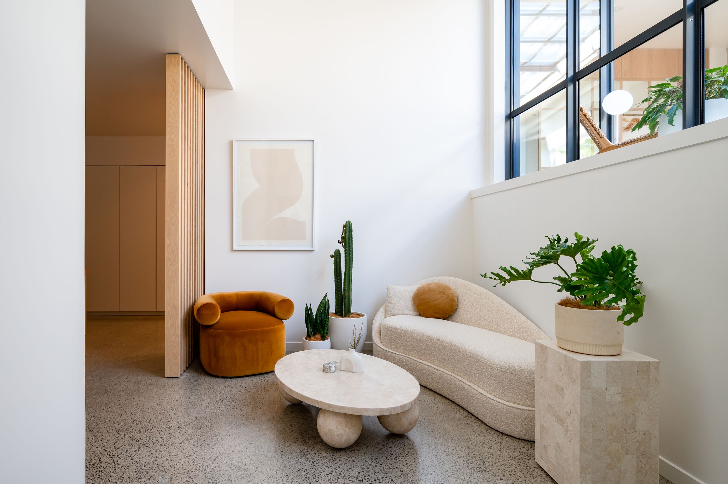 inside GROOM Laser & Skin Clinic, Dunedin — warm timber finish lit softly from above