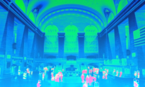 Safety and Crime Data