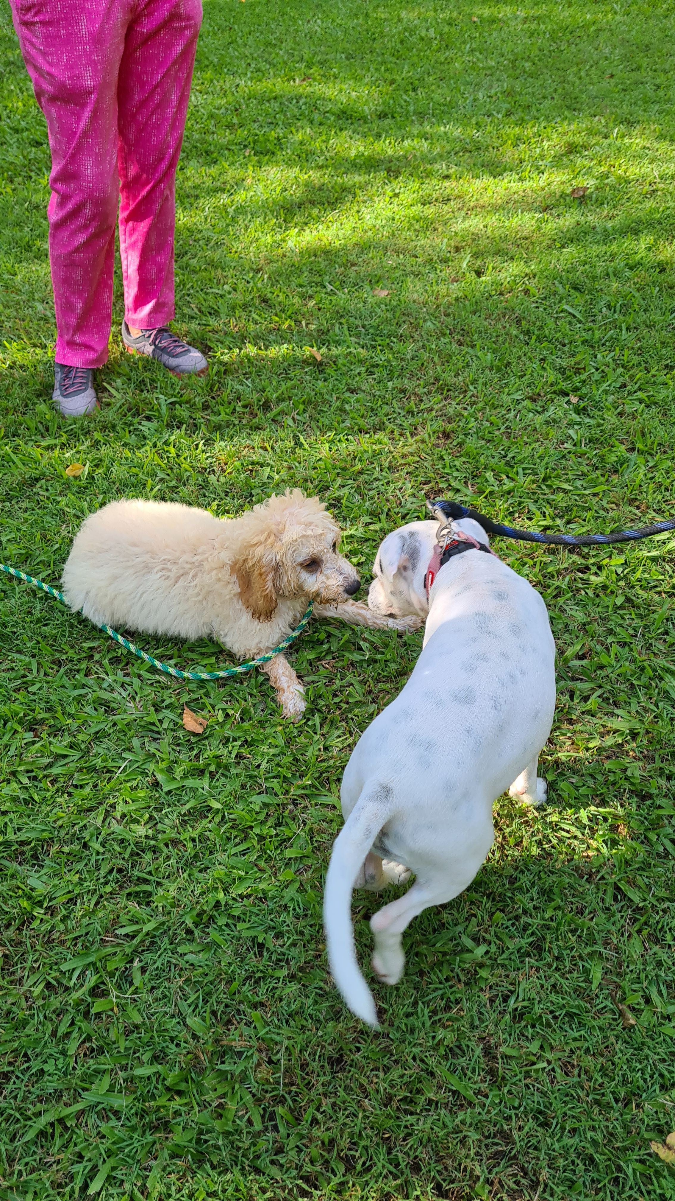 Training Slider Image 3