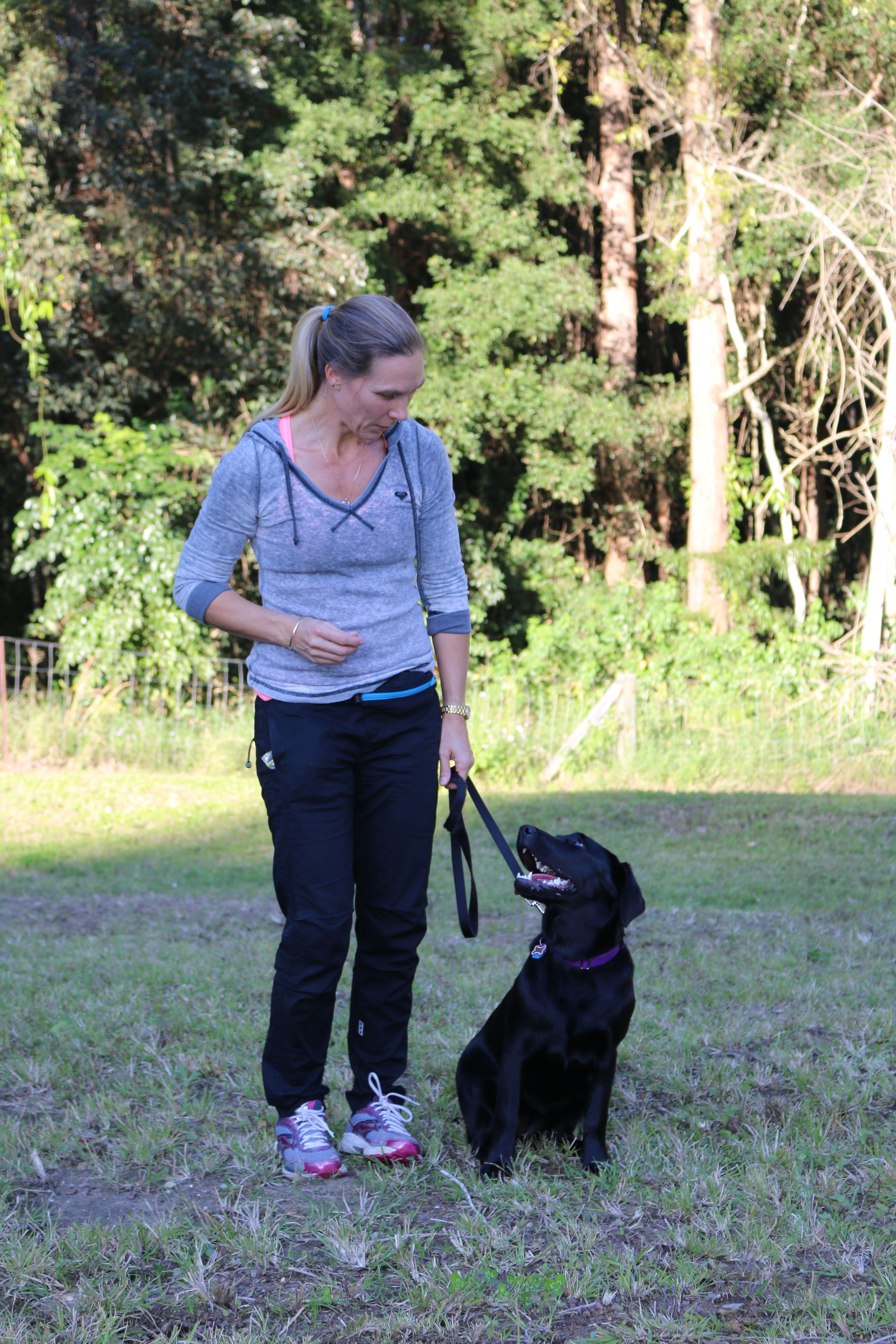 Understanding your dog