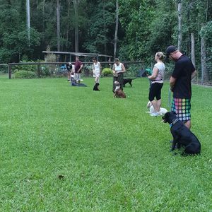 Training Field Progress Shot