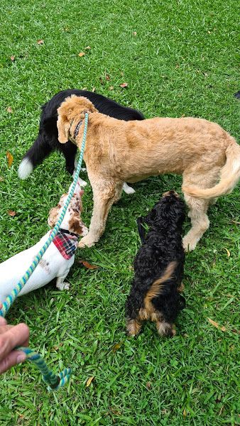 Colin, Des, Winton and Peggy getting to know each other