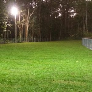 Training Field Progress Shot
