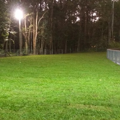 Training Field Progress Shot