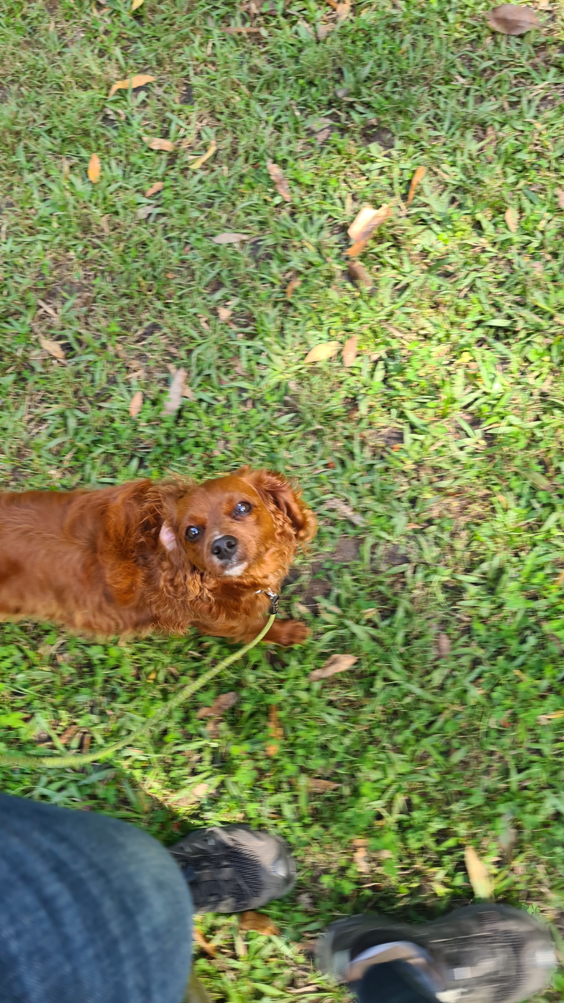 We love heeling at school