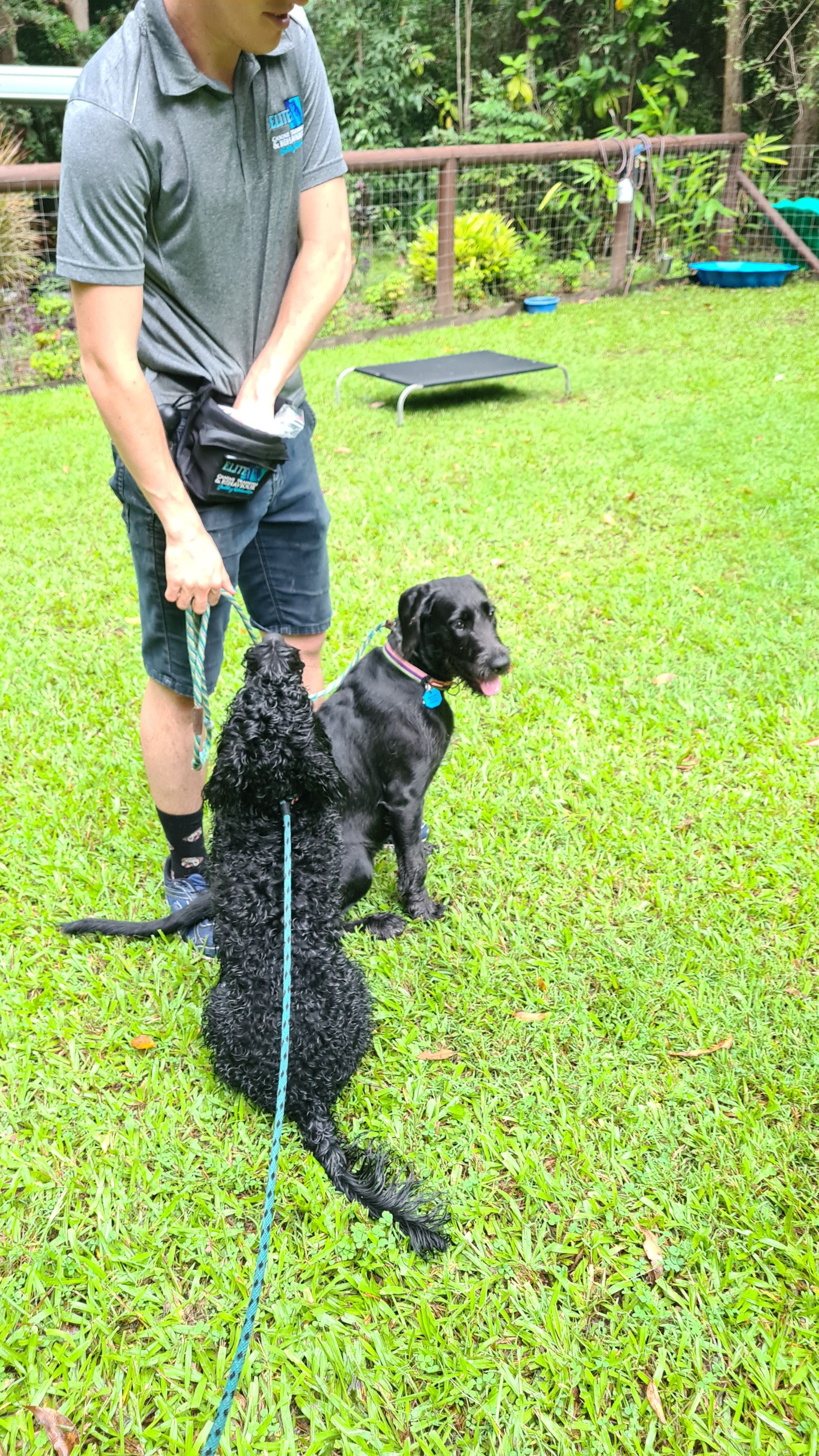 Lloyd and Layla learning to be calm