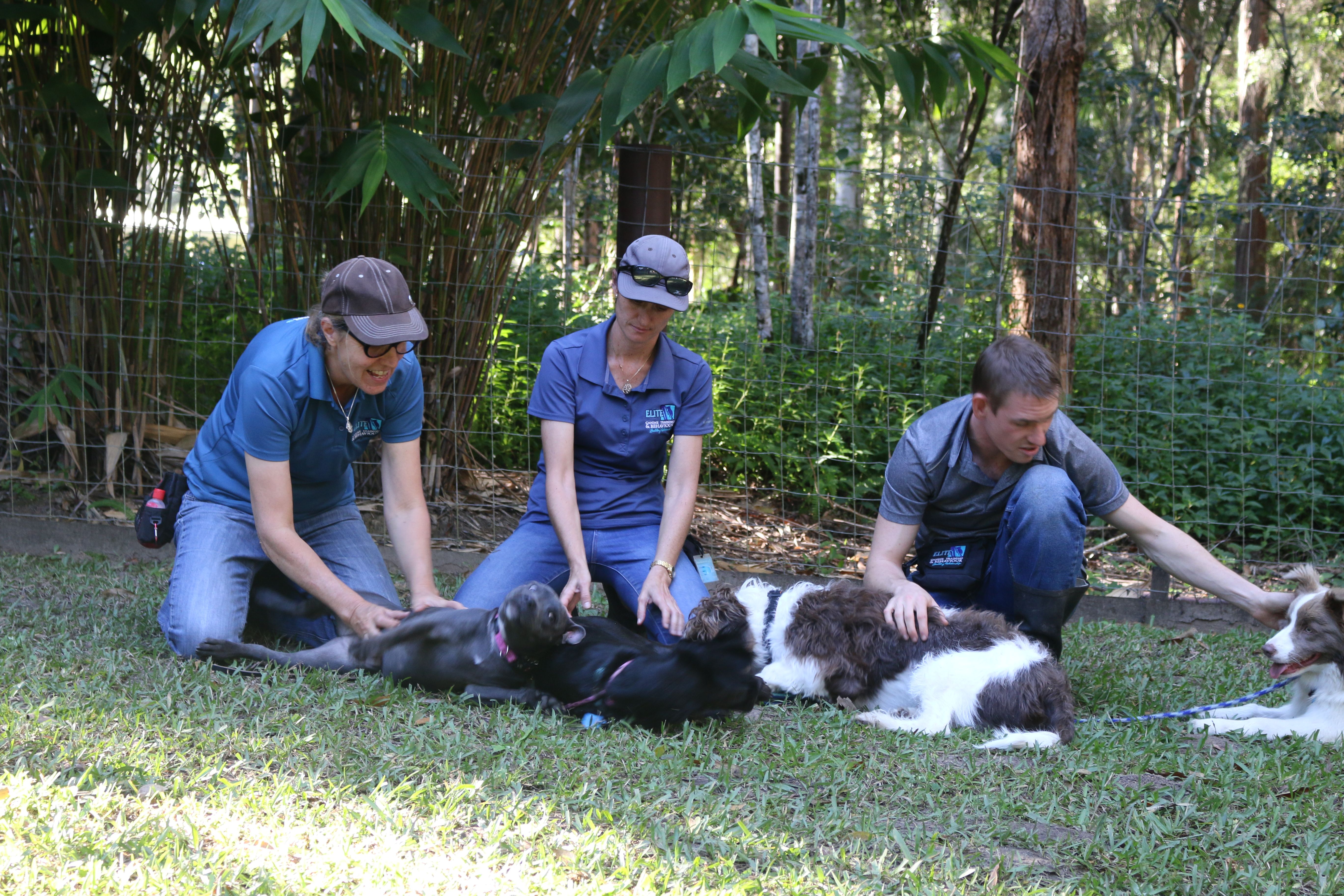 Who would have thought getting a team photo would be this difficult?
