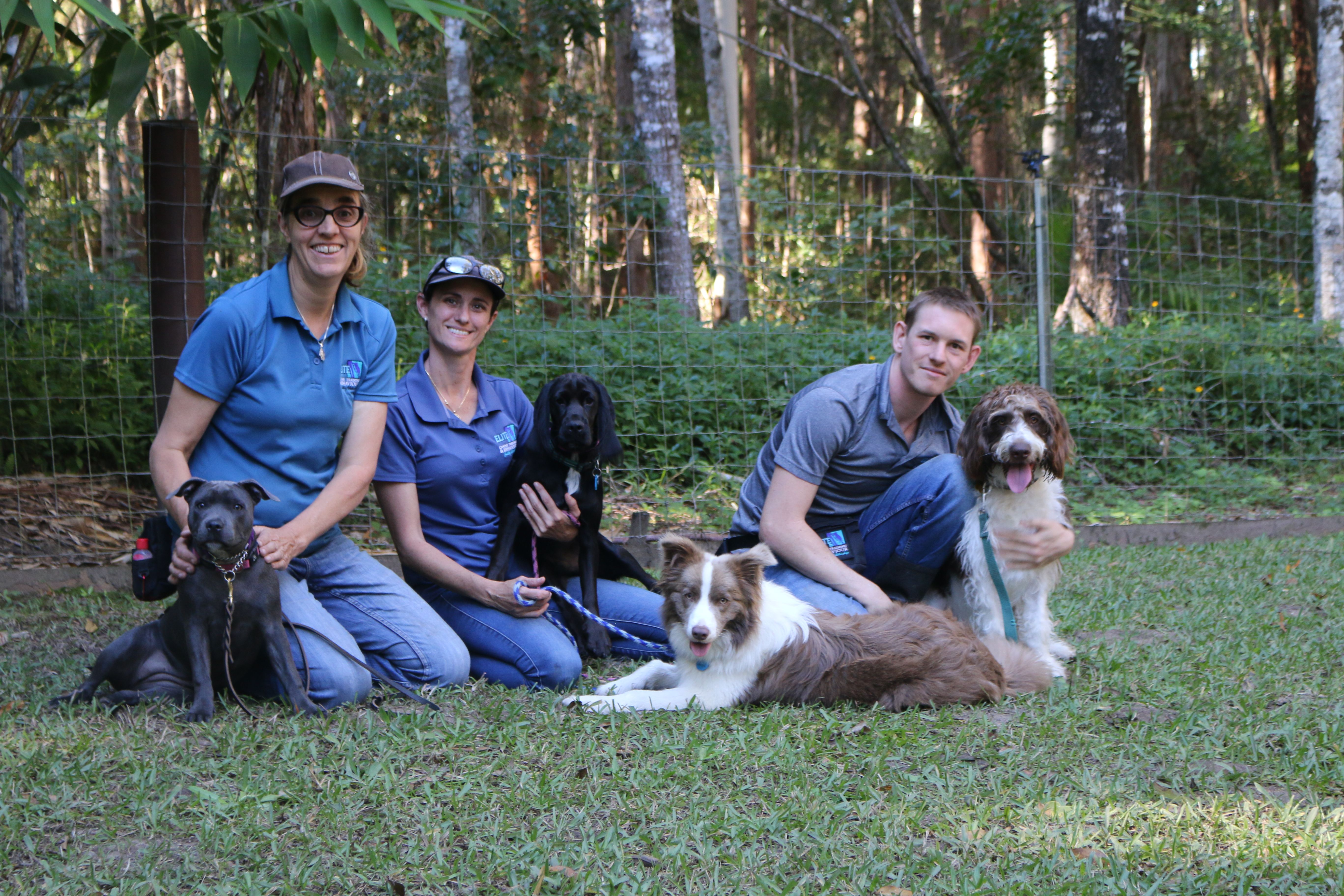 Dog Trainers for Training in Maleny