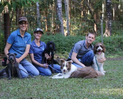 Dog Trainers for Training in Yandina