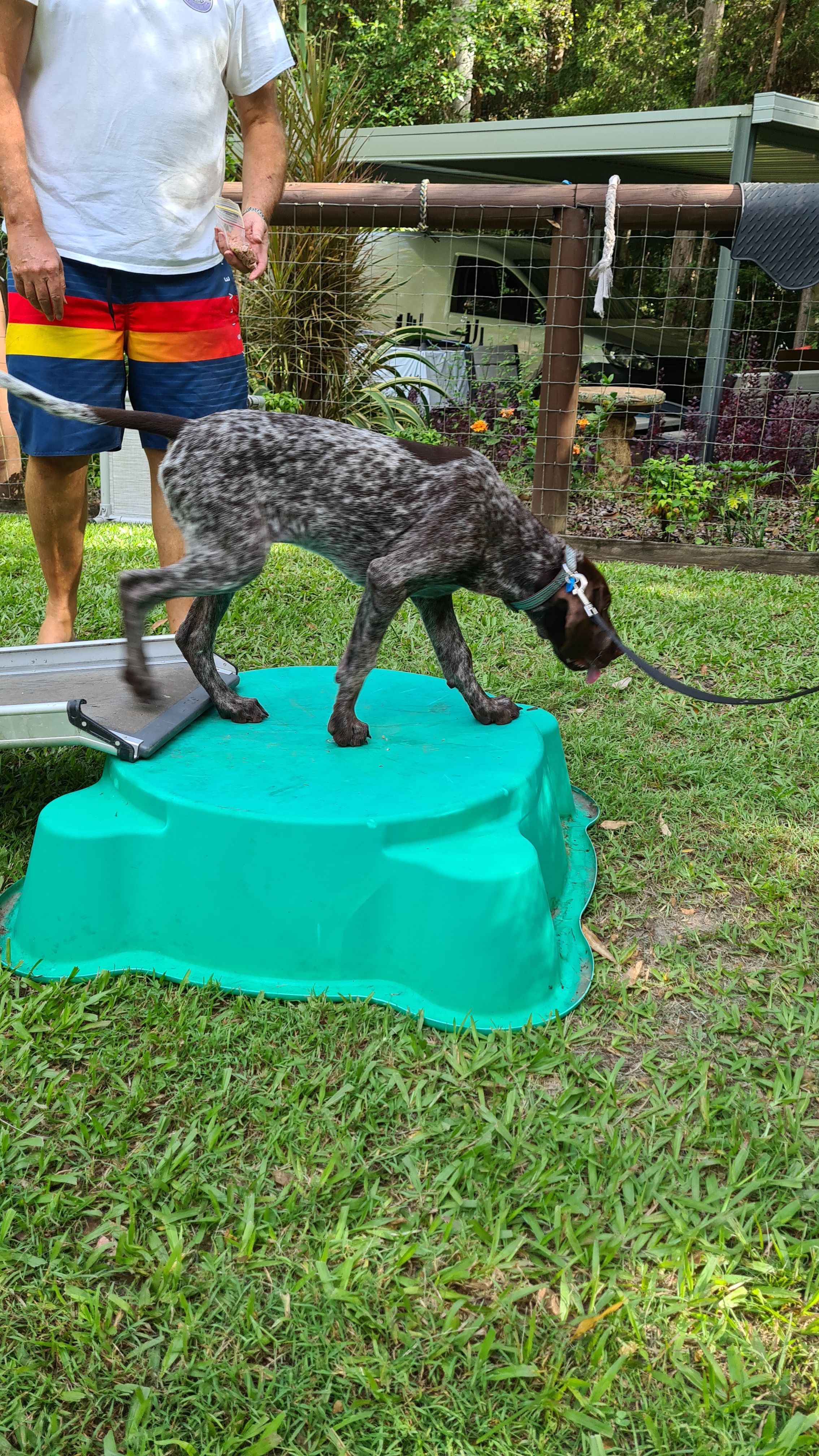 Training Slider Image 4