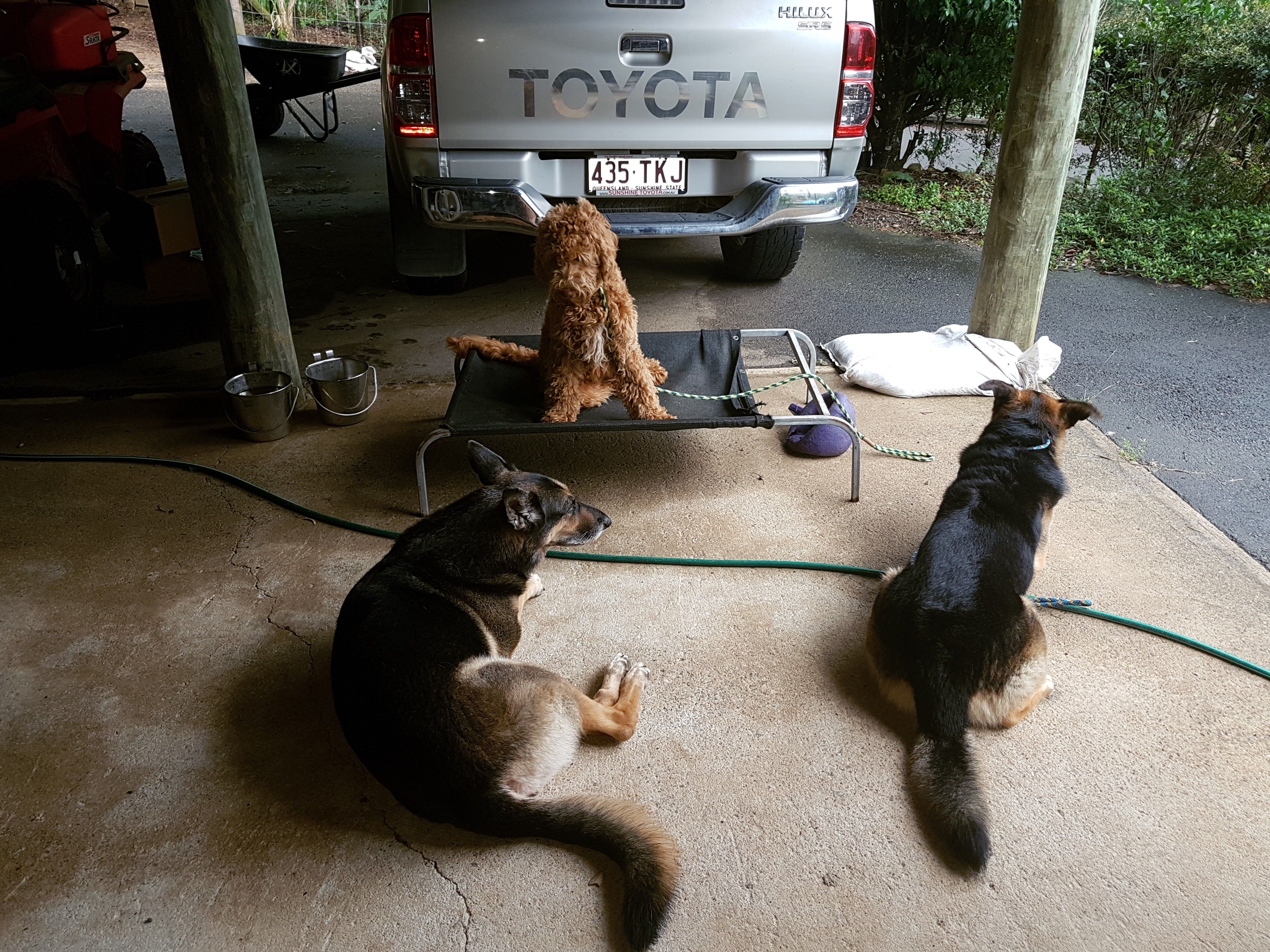 Basil with his security team