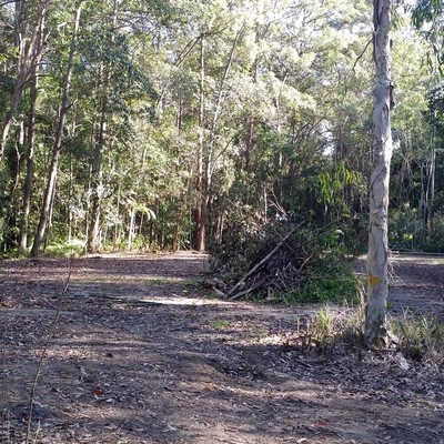 Training Field Progress Shot