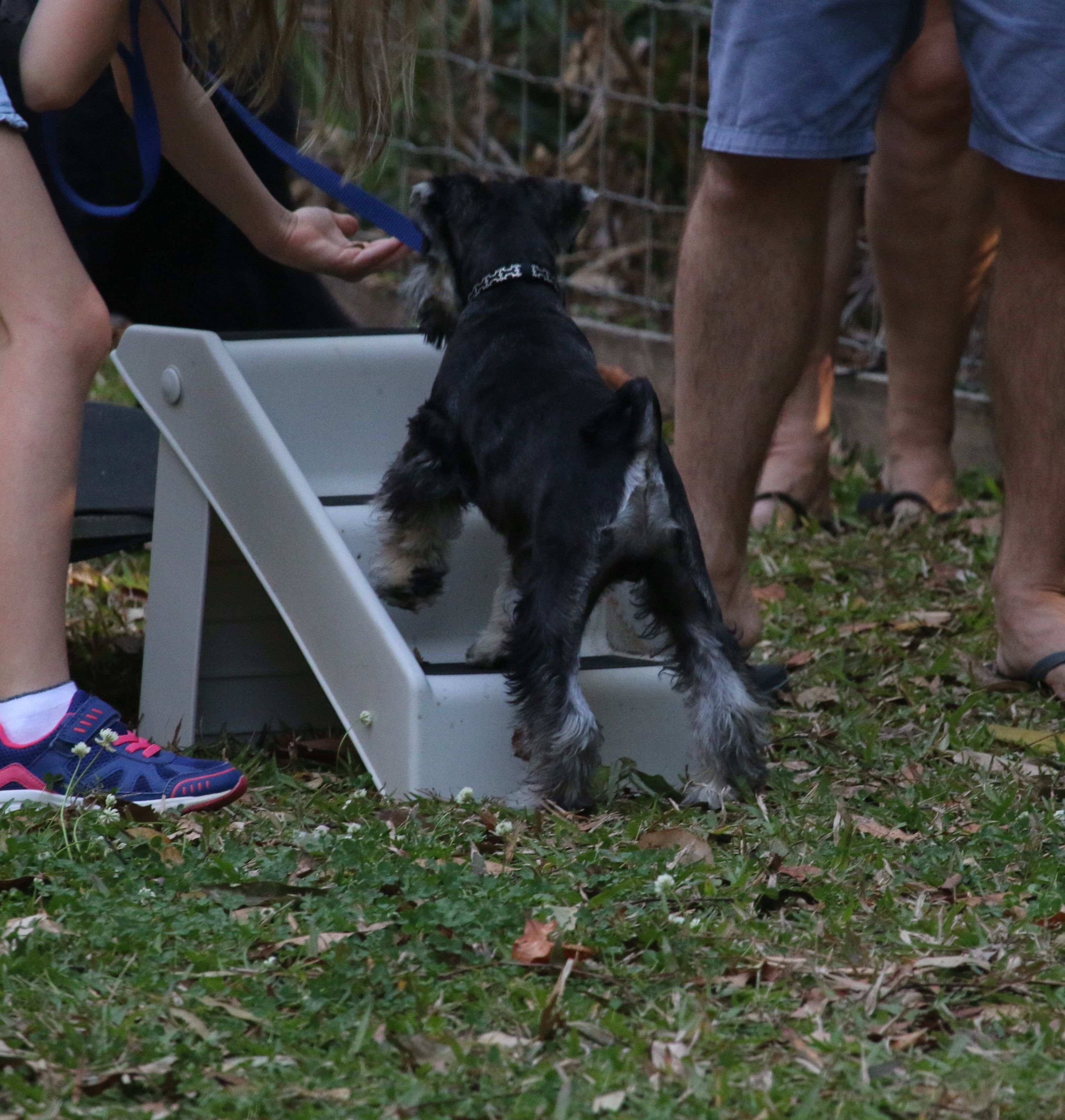 Safely learning to do stairs
