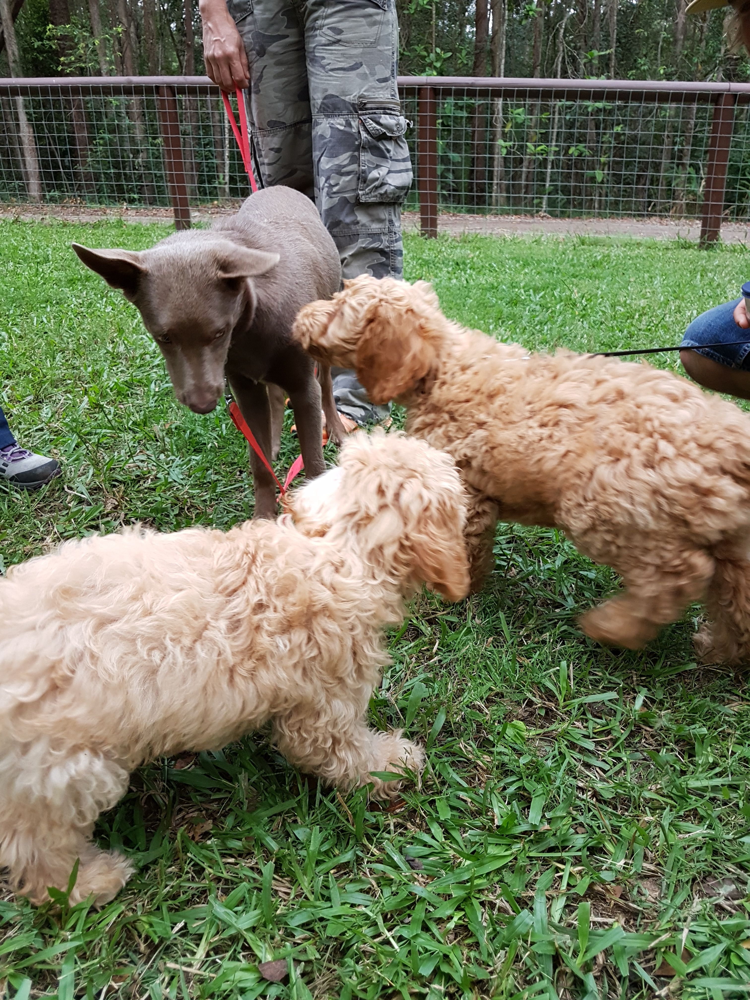 Training Slider Image 1