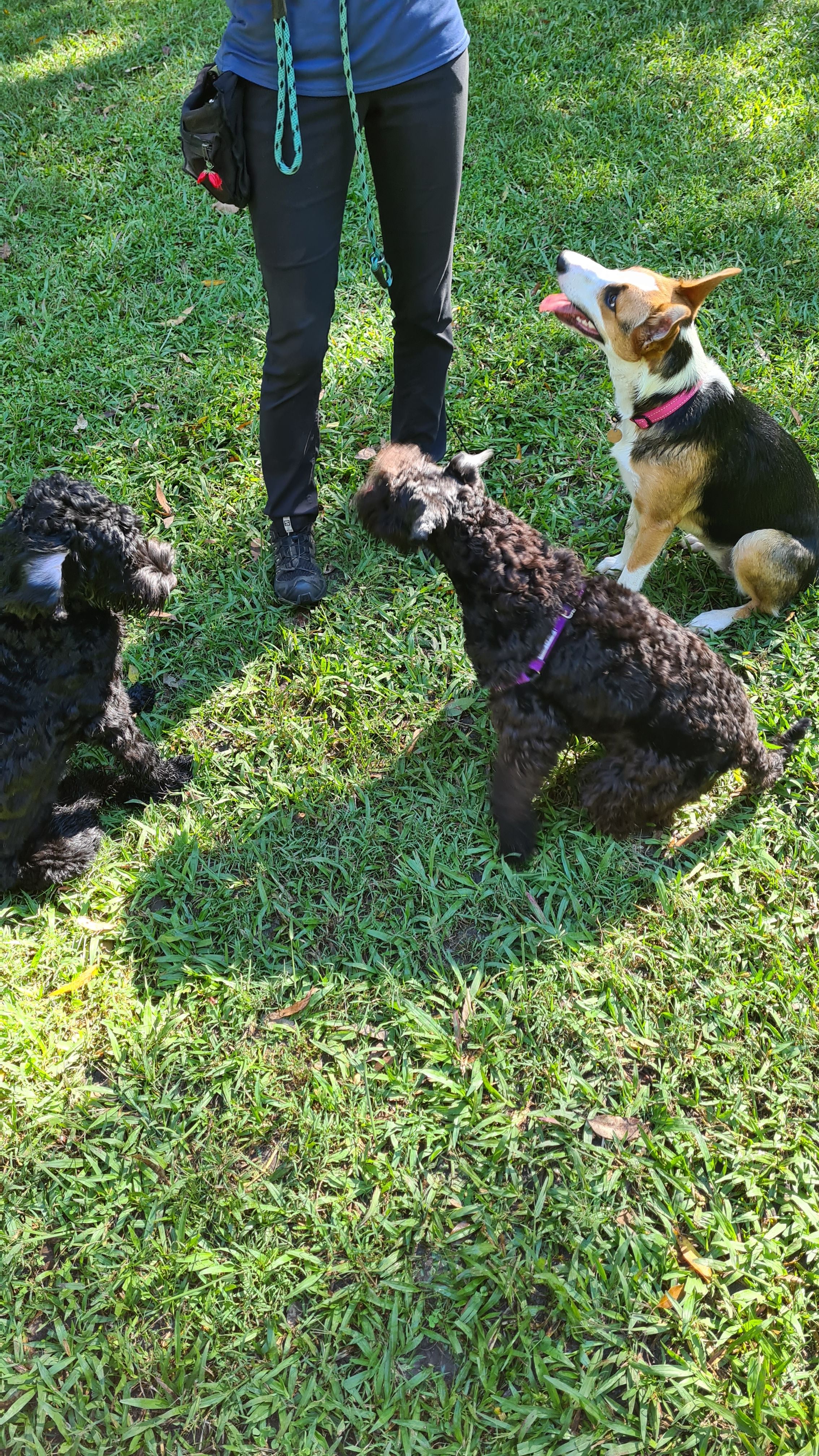 Showing lovely manners at school