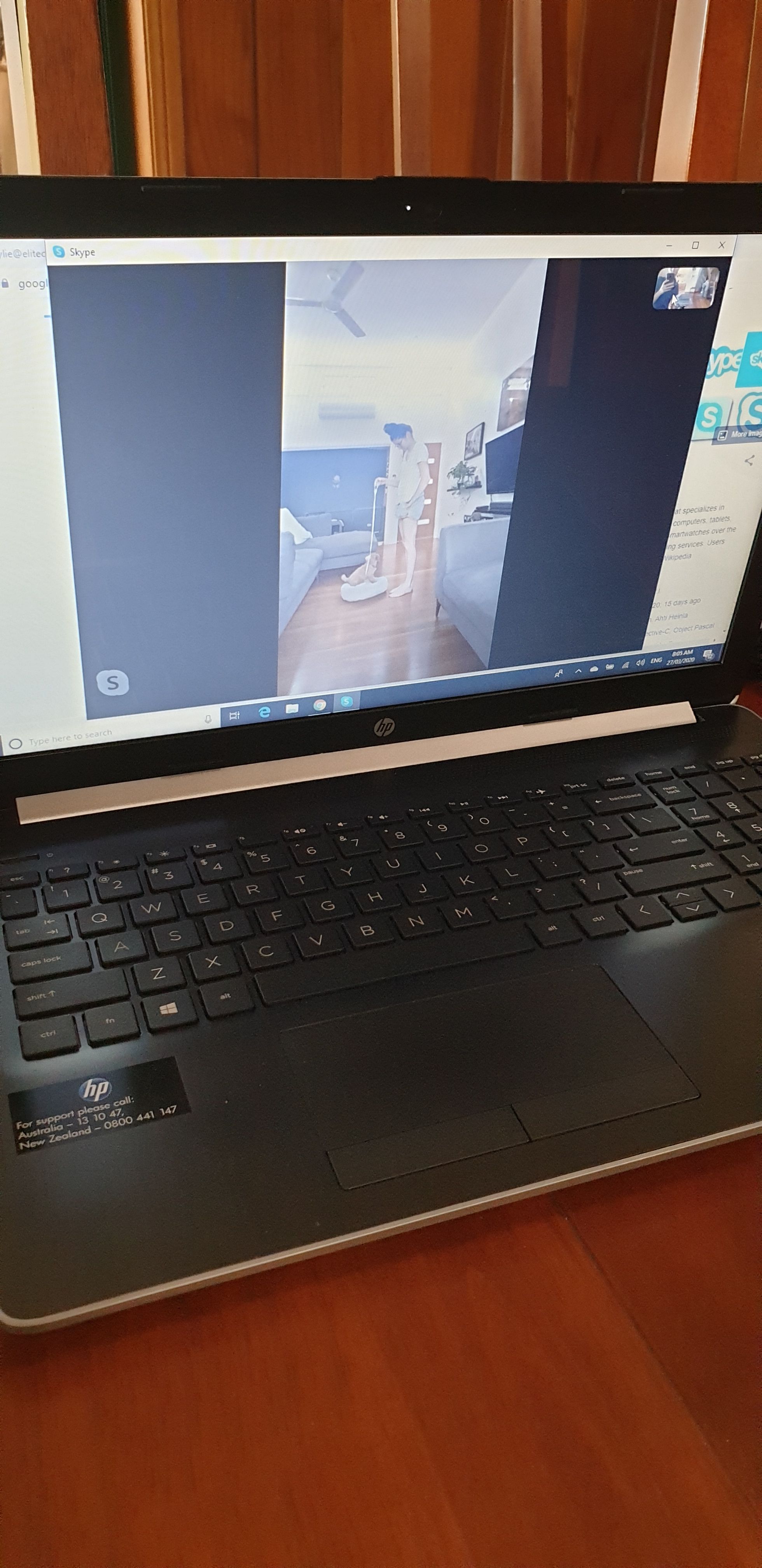 Virtual Training via Skype