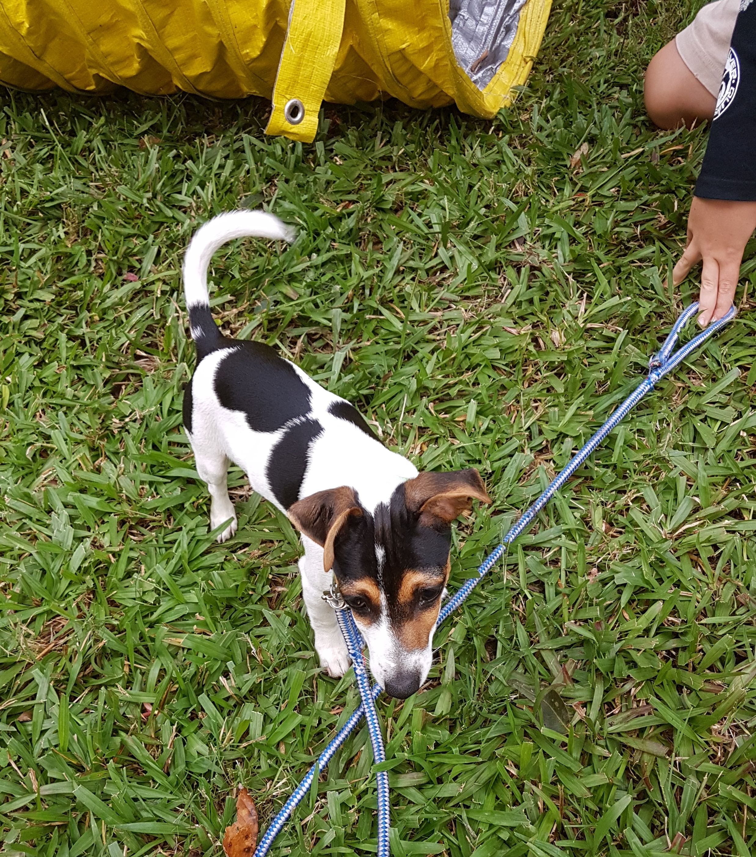 Training Slider Image 2