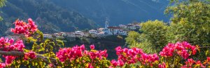 Portugal-Madeira-nature-homepage