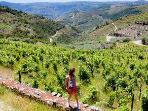 Portugal Douro vallei