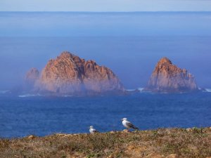 nazare berlenga portugal (2)