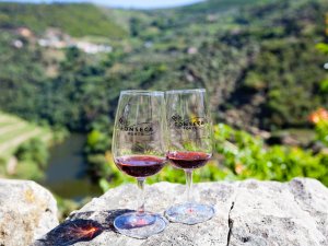 wijn douro vallei portugal