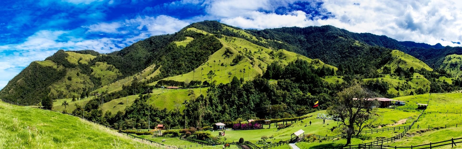Colombia Cocora vallei bij Salento