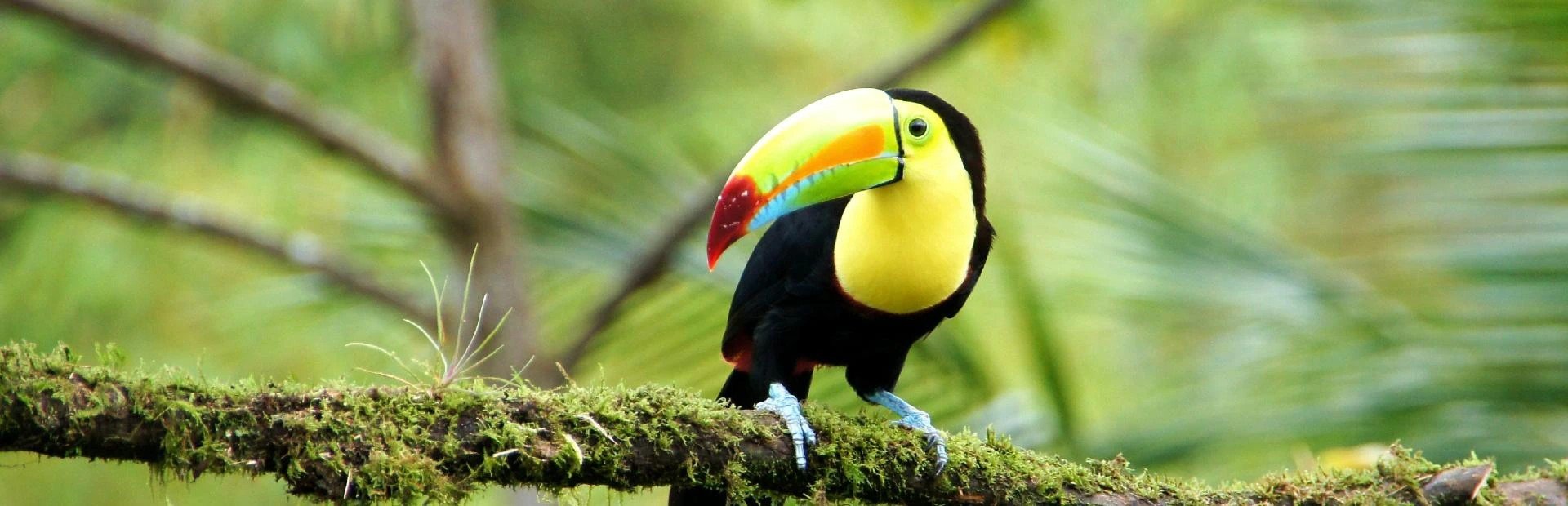 Mexico Belize met kinderen | Riksja Family Mexico