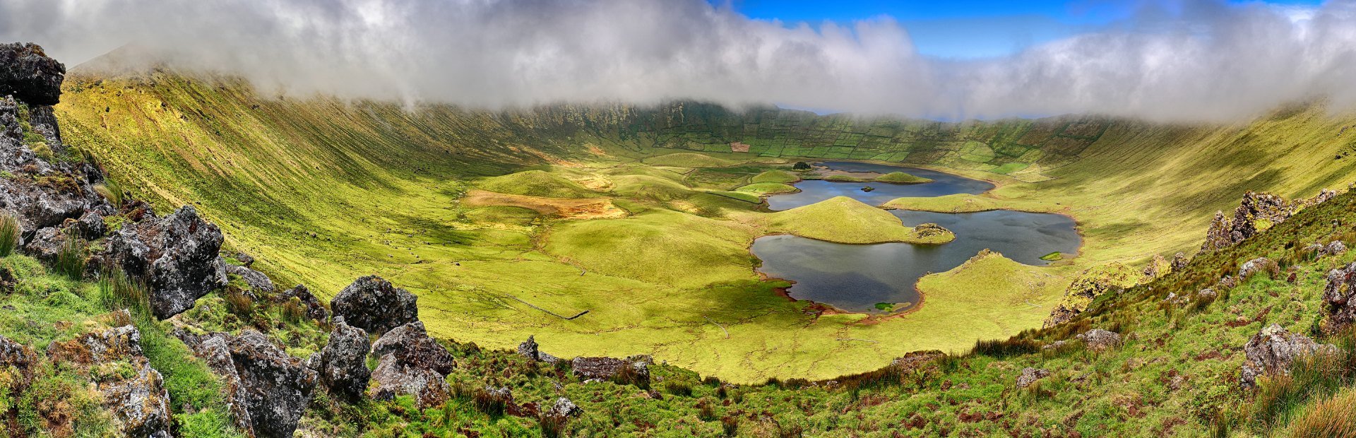 flores azores corvo